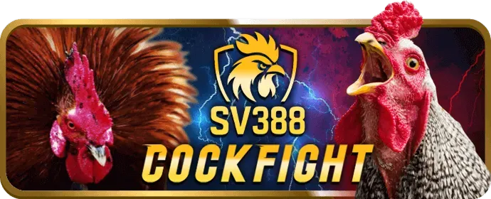 Cá cược quần vợt trên ek88 app